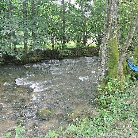 Chalet By The River Văliug المظهر الخارجي الصورة