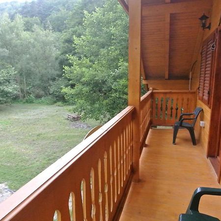 Chalet By The River Văliug المظهر الخارجي الصورة
