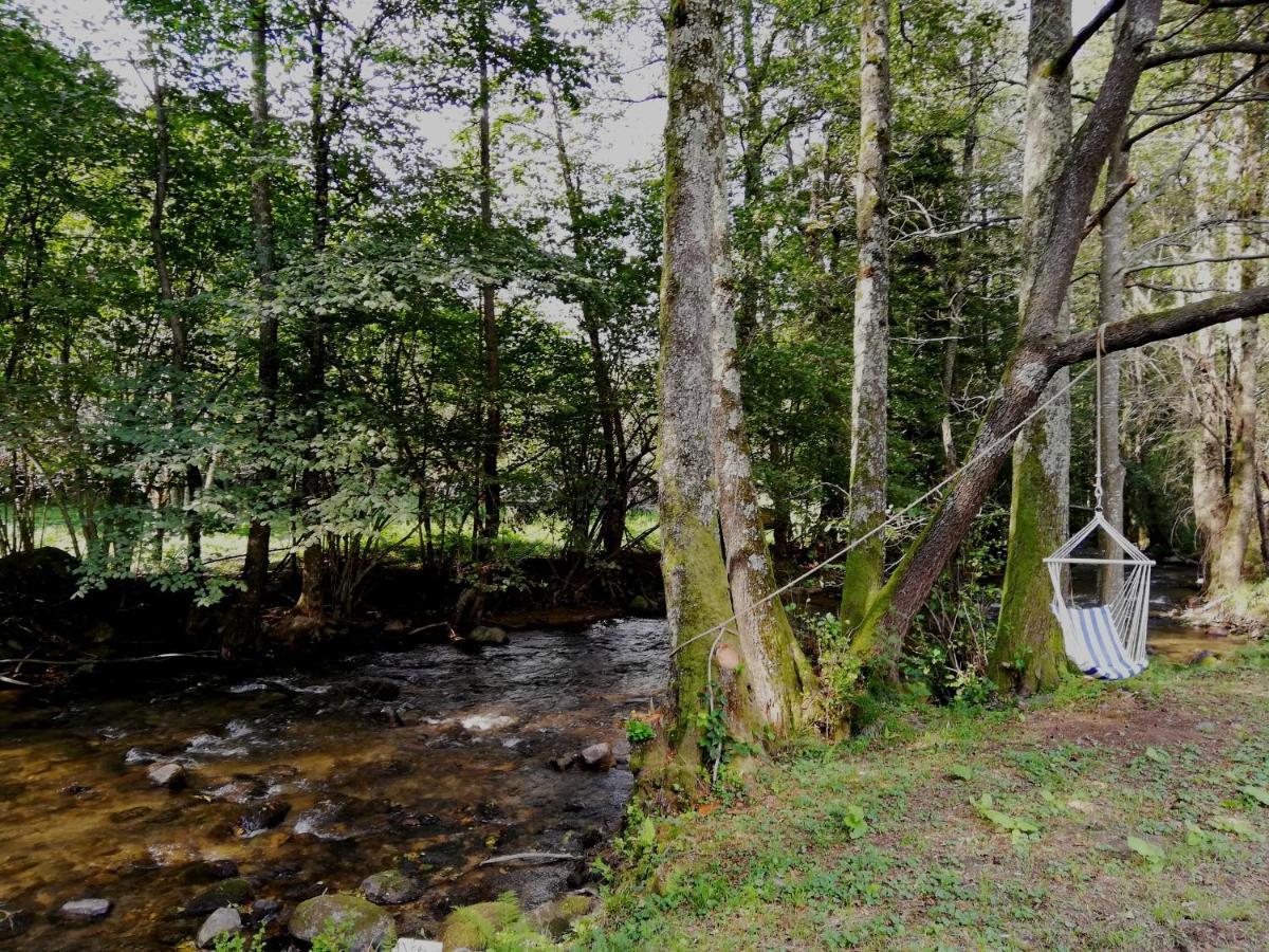 Chalet By The River Văliug المظهر الخارجي الصورة