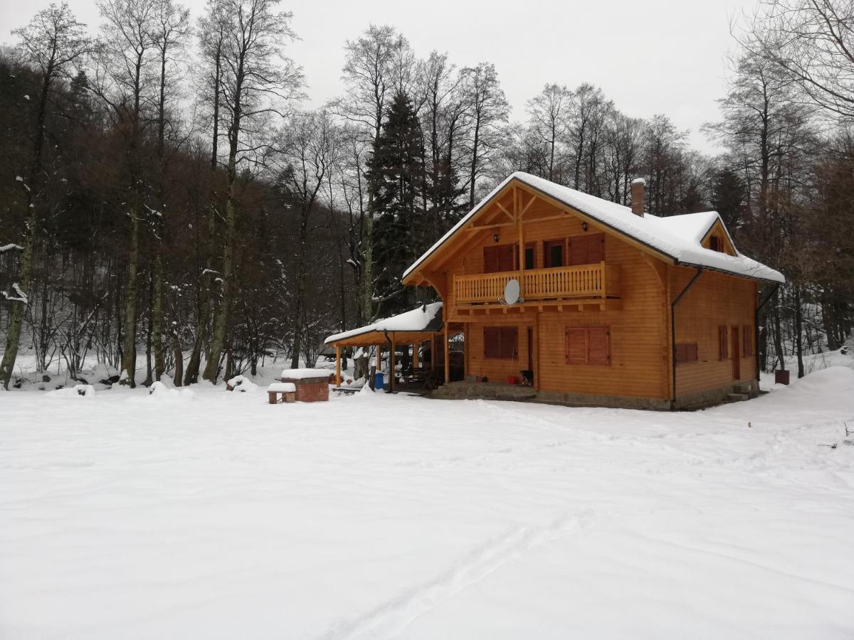 Chalet By The River Văliug المظهر الخارجي الصورة