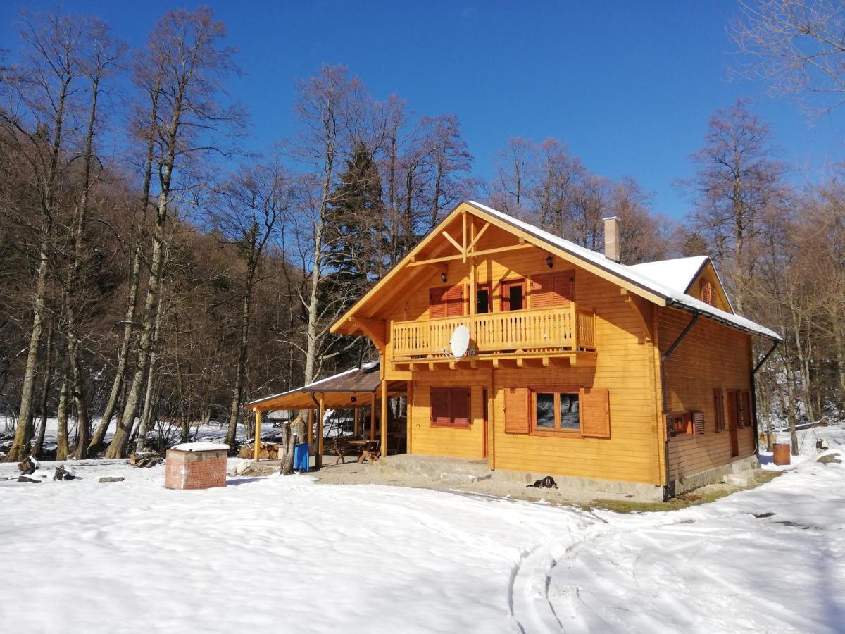 Chalet By The River Văliug المظهر الخارجي الصورة