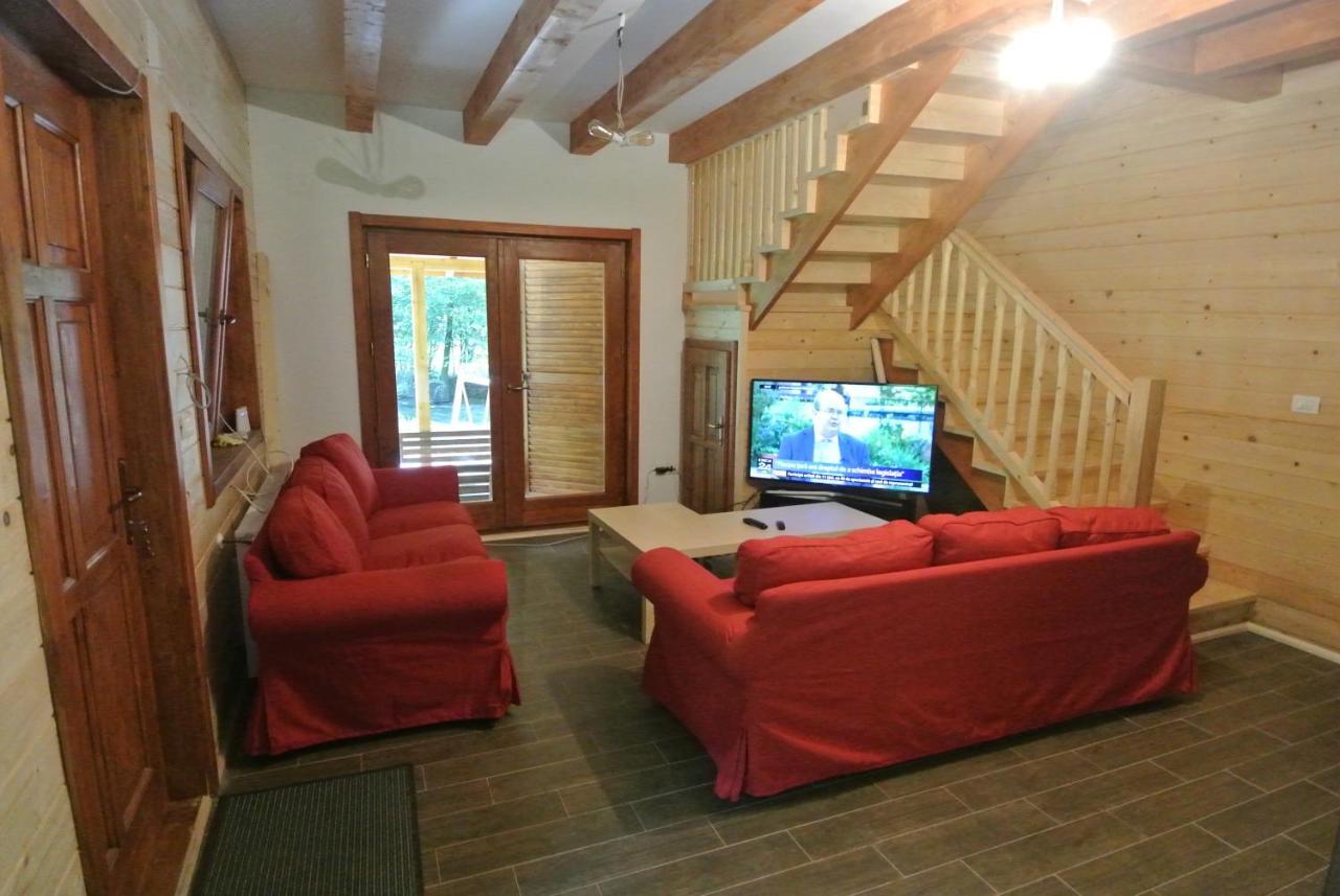 Chalet By The River Văliug المظهر الخارجي الصورة
