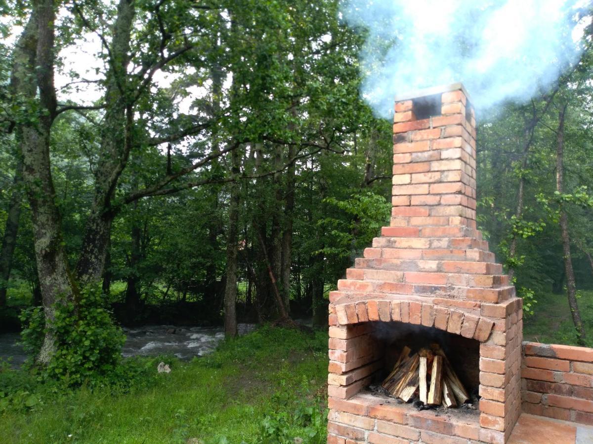 Chalet By The River Văliug المظهر الخارجي الصورة