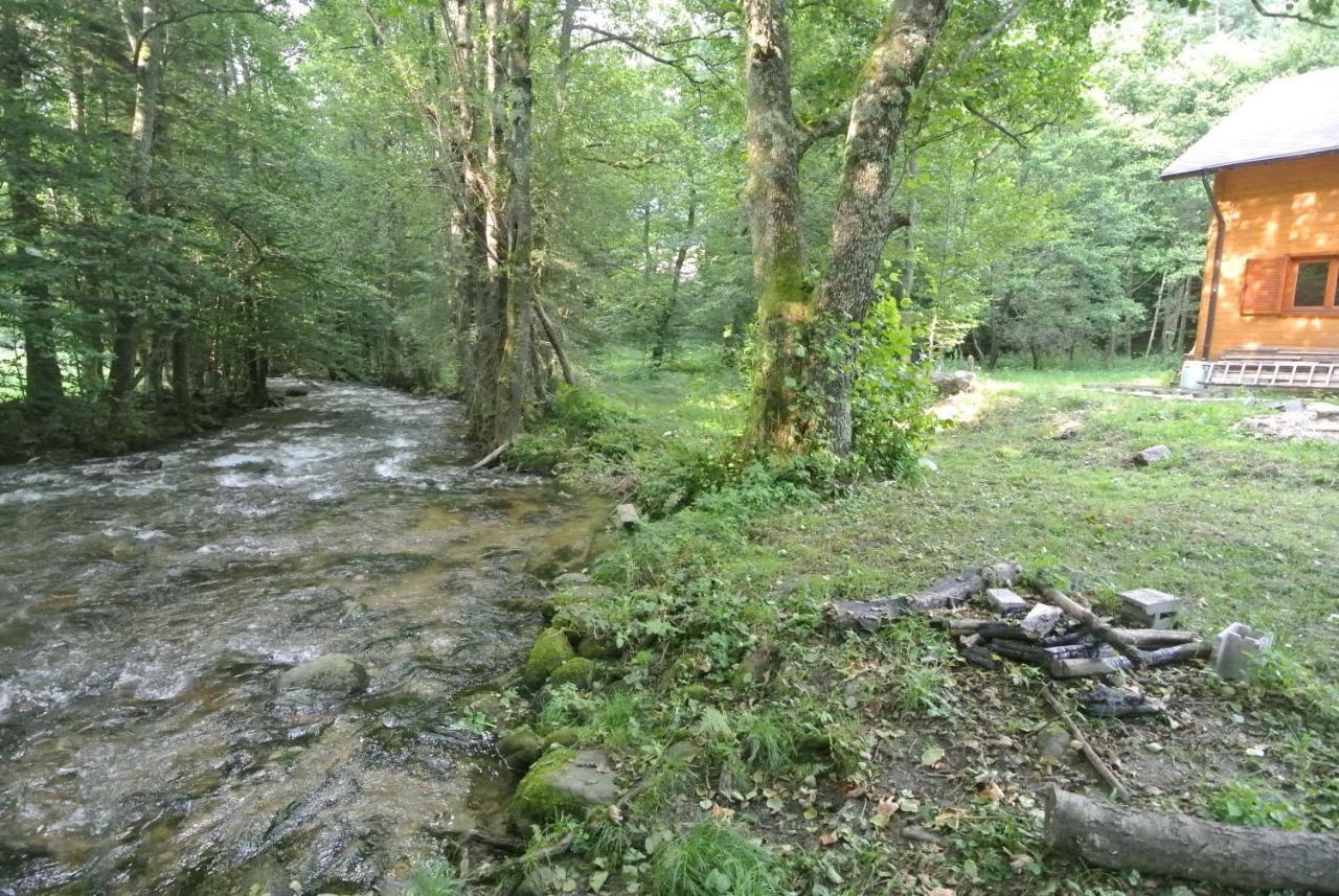 Chalet By The River Văliug المظهر الخارجي الصورة