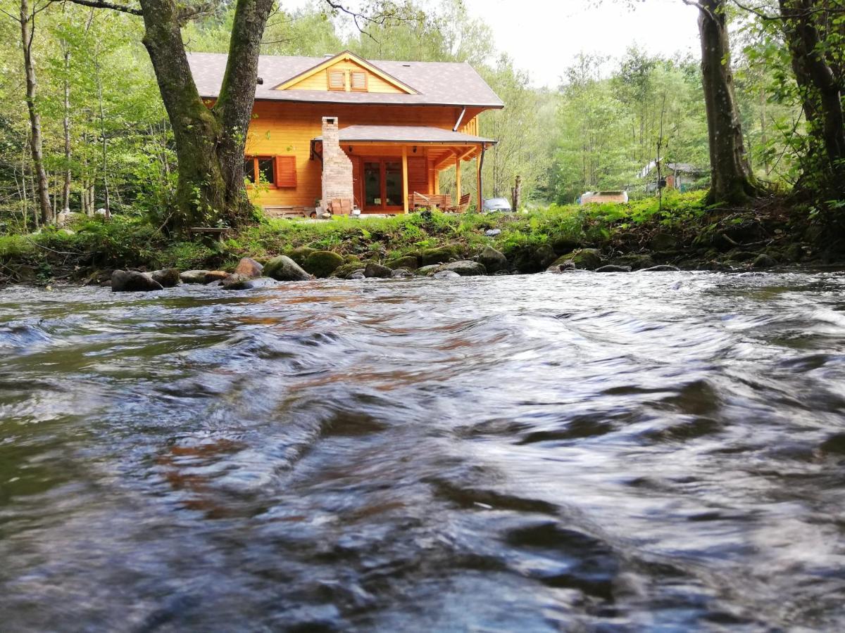Chalet By The River Văliug المظهر الخارجي الصورة