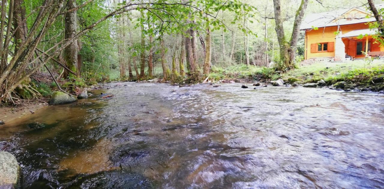 Chalet By The River Văliug المظهر الخارجي الصورة