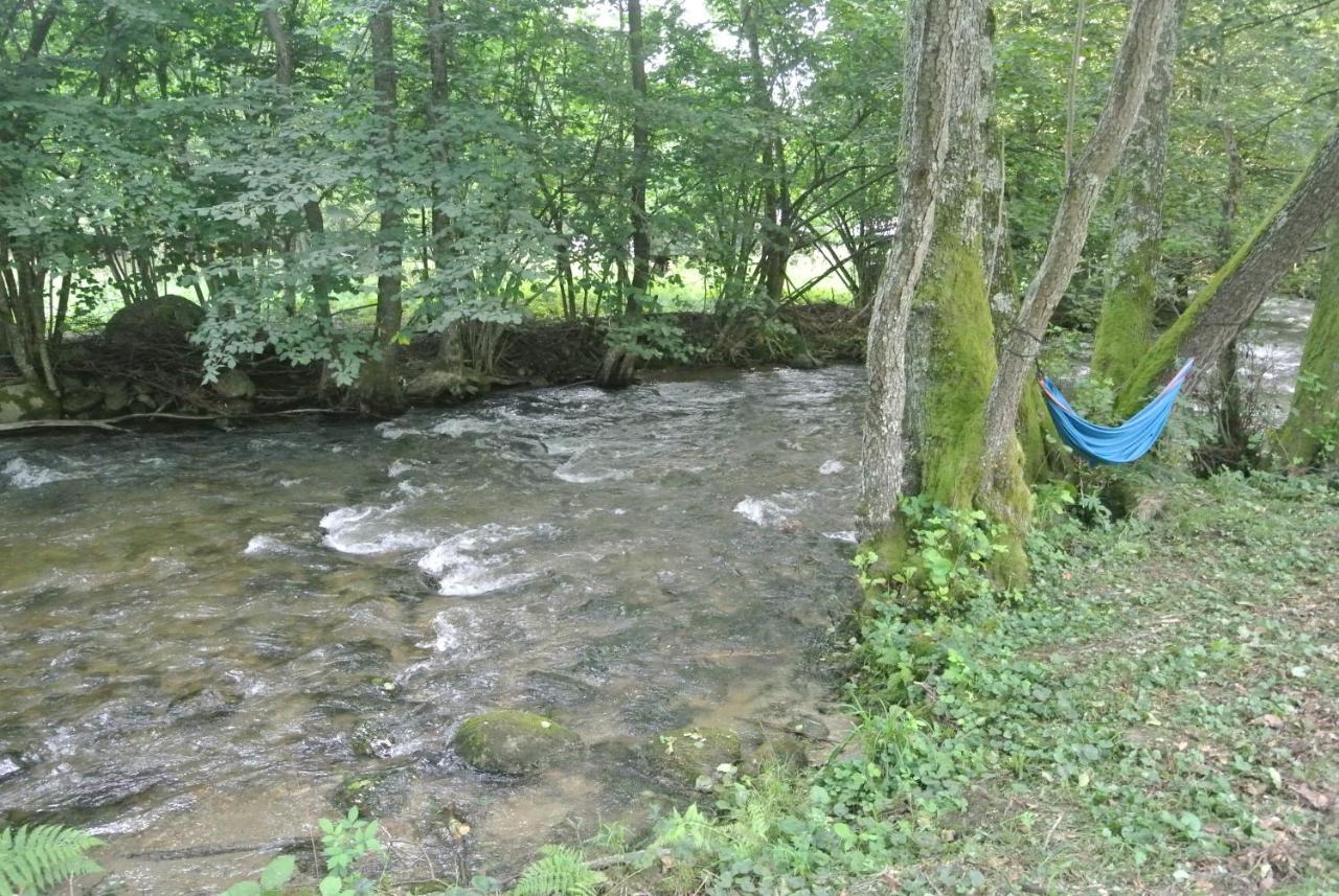 Chalet By The River Văliug المظهر الخارجي الصورة