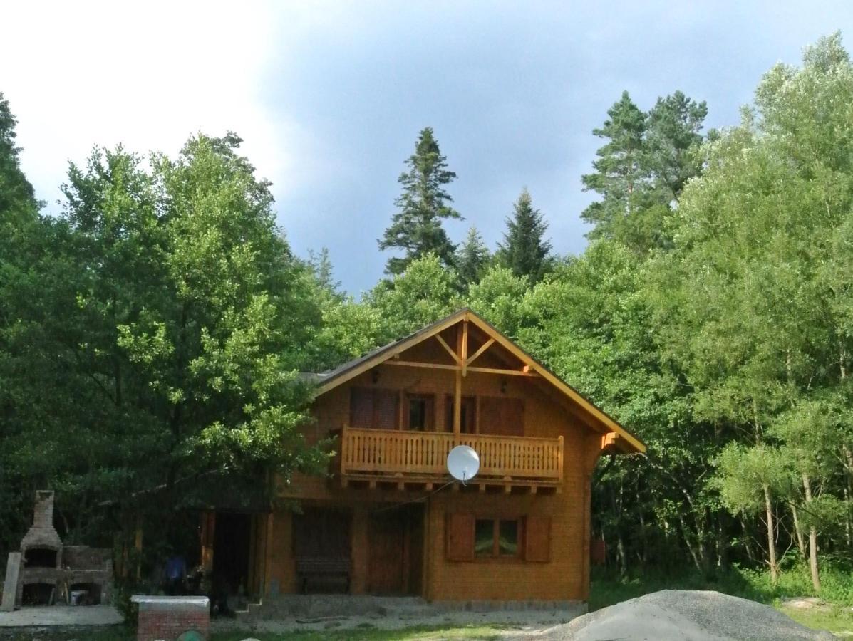 Chalet By The River Văliug المظهر الخارجي الصورة