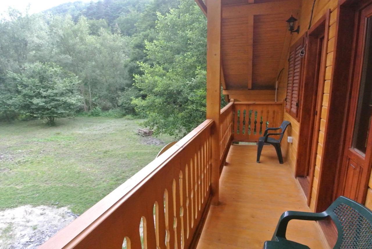 Chalet By The River Văliug المظهر الخارجي الصورة